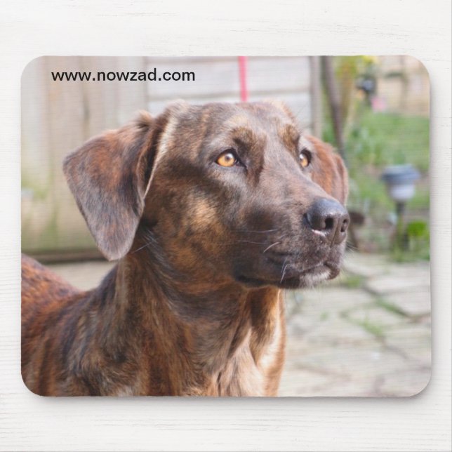Nowzad räddinghund Brin Mousepad Musmatta (Framsidan)