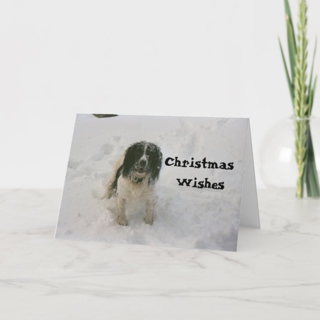 Nowzaden förföljer julkort (1) helgkort (Framsida)