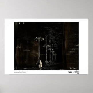 Nr 65 poster