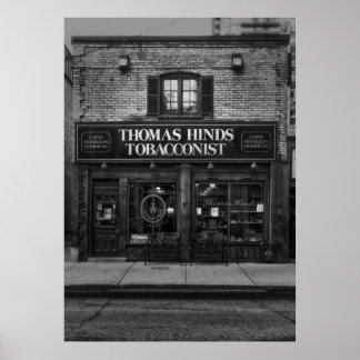 Nr 8 Cumberland St 2 Poster