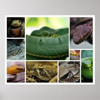 NR-ögonblicksbild_Page000 Poster