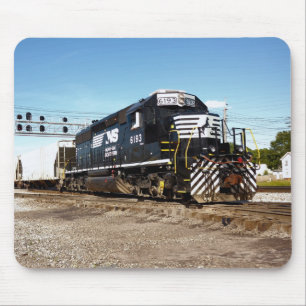NS 6193 vid Bellevue Oh 6-10-06 8 x 10a Musmatta
