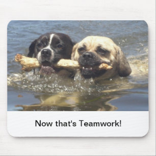 Nu är det teamworkmusen vadderar musmatta