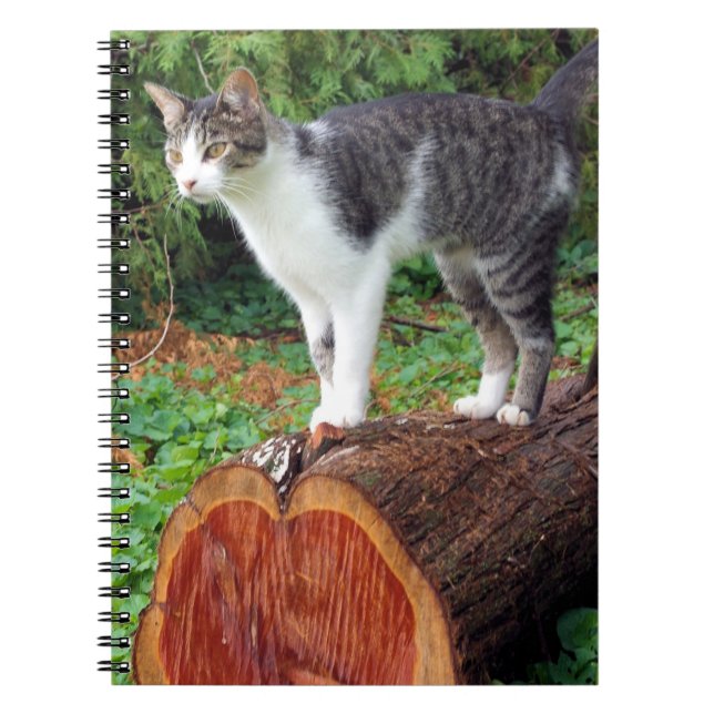 Nu har du min uppmärksamhet - den bärbara datorn K Anteckningsbok (Framsidan)