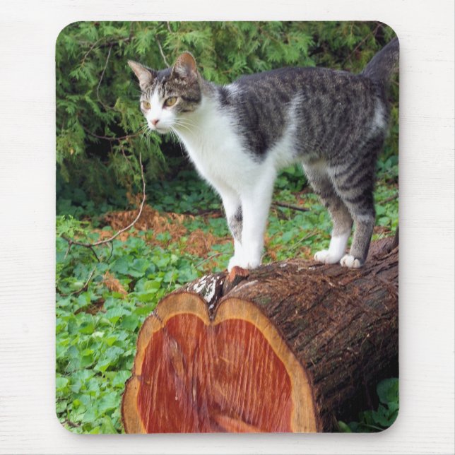 Nu har ni min uppmärksamhet - Kattunge Mousepad Musmatta (Framsidan)