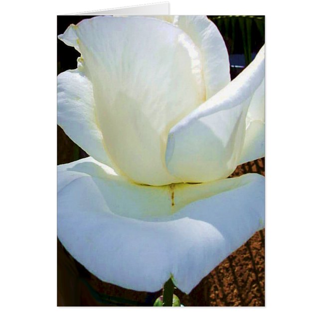 Nu och för alltid_ hälsningskort (Framsidan)