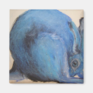 Nu ser du mig magnet