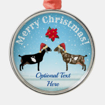 Nubian Dairy Goat-jul i snö