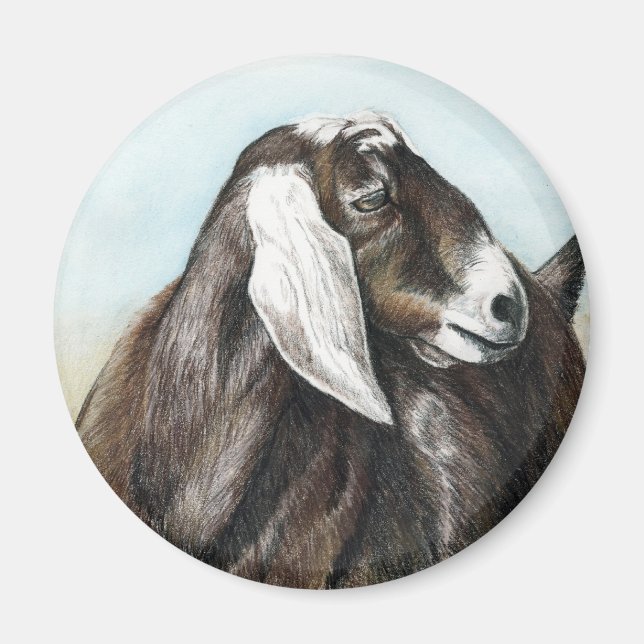 Nubian Goat Art Magnet (Framsidan)