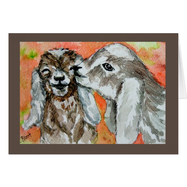 Nubian Goat Buddies OBS Kort (Framsidan Horizontal)