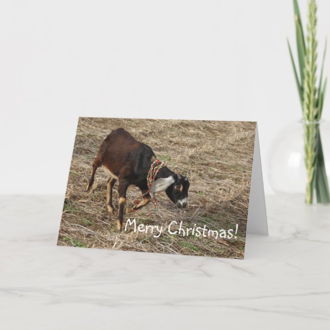 Nubian Goat, God jul! Helgkort (Framsida)