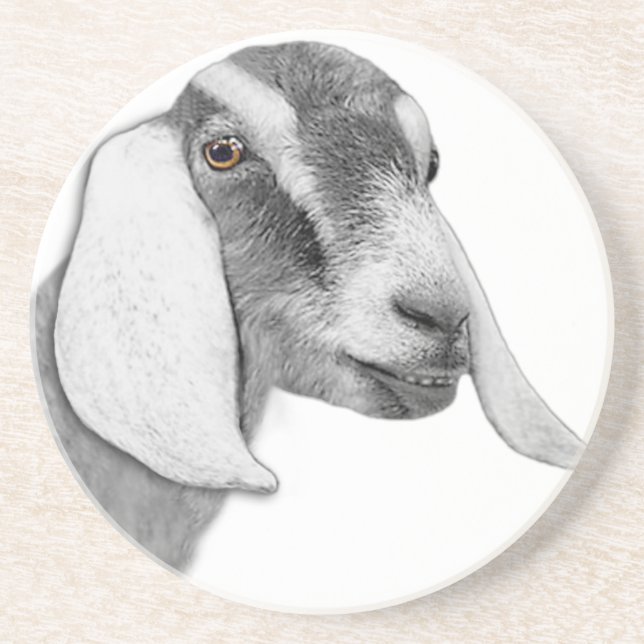 Nubian Goat Sandstone Underlägg Sandsten (Framsidan)