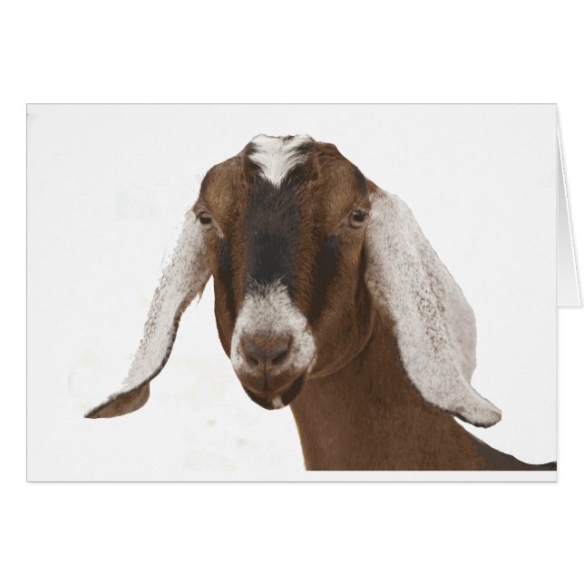 Nubian Hälsningskort (Framsidan Horizontal)