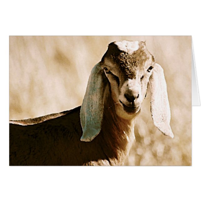 Nubian Hälsningskort (Framsidan Horizontal)