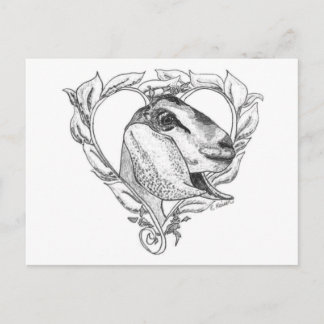 Nubian huvud i hjärta vykort