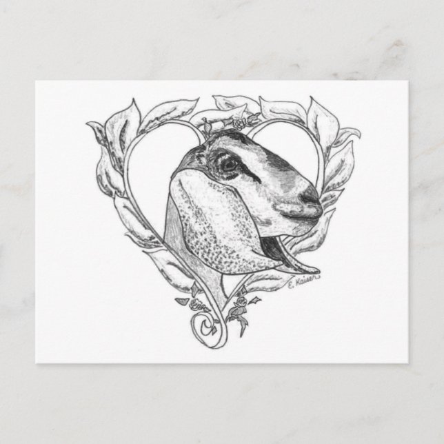 Nubian huvud i hjärta vykort (Framsida)