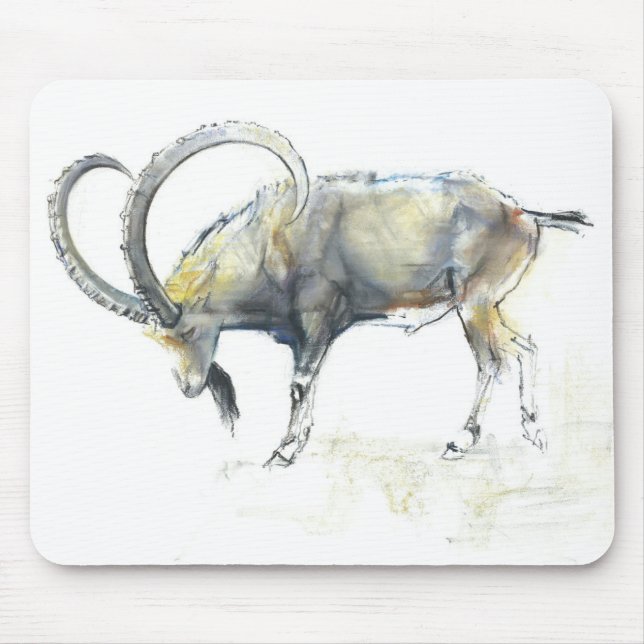 Nubian Ibex 2008 Musmatta (Framsidan)