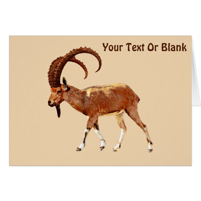 Nubian Ibex - Ein Gedi Hälsningskort (Framsidan Horizontal)