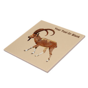 Nubian Ibex - Ein Gedi Kakelplatta
