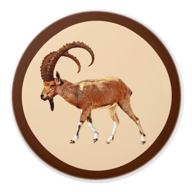 Nubian Ibex - Ein Gedi Knopp (Framsidan)