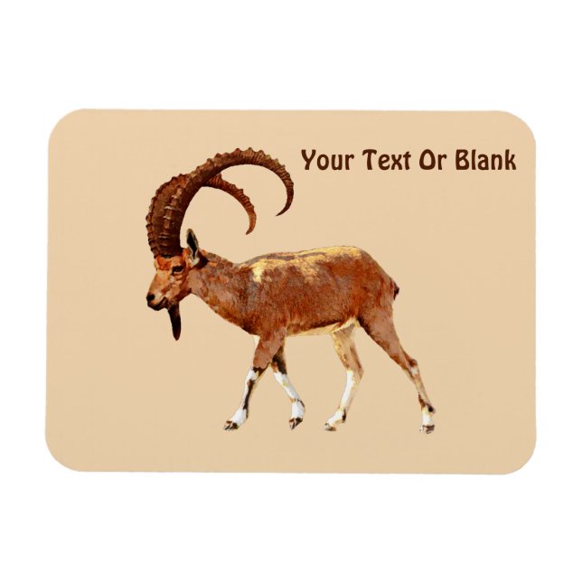 Nubian Ibex - Ein Gedi Magnet (Horisontell)