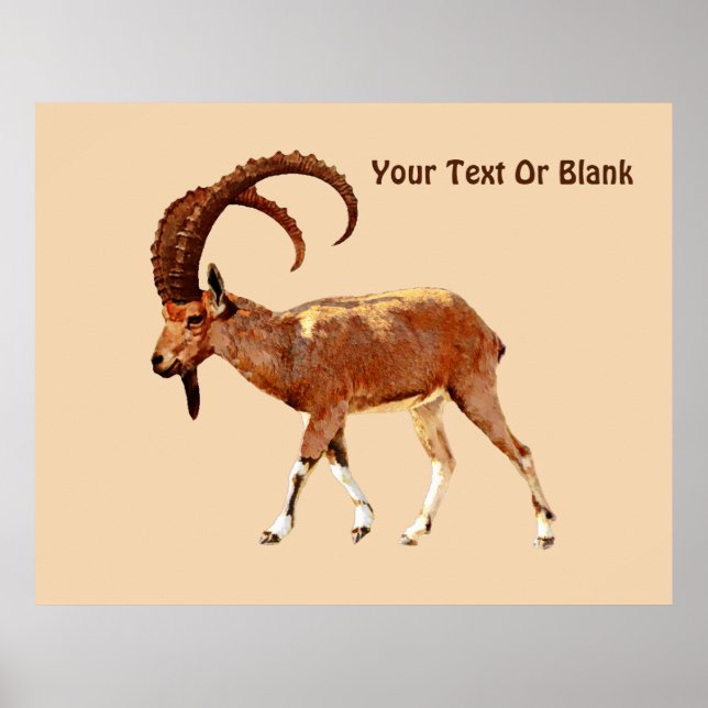 Nubian Ibex - Ein Gedi Poster (Framsidan)