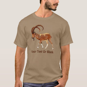Nubian Ibex - Ein Gedi Tee
