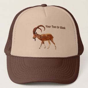 Nubian Ibex - En Gedi Keps