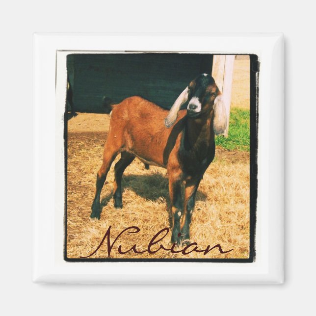 Nubian Magnet - Square (Framsidan)