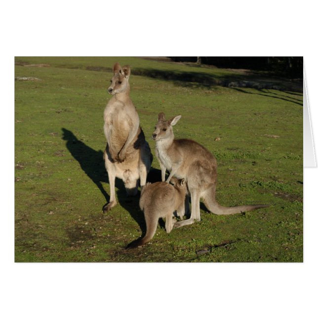 Nuclear 'Roos Hälsningskort (Framsidan Horizontal)