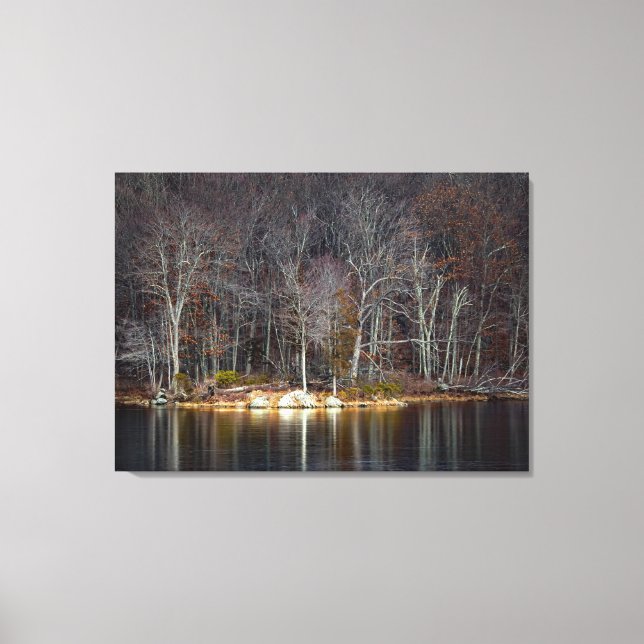 Nuclear Winter Canvastryck (Framsida)