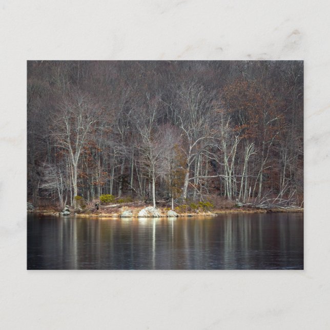 Nuclear Winter Vykort (Framsida)