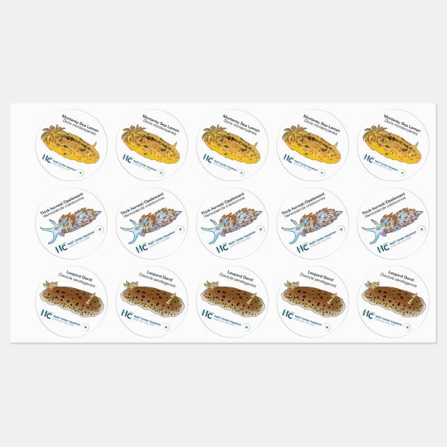 Nudi Stickers #2 (Ark)