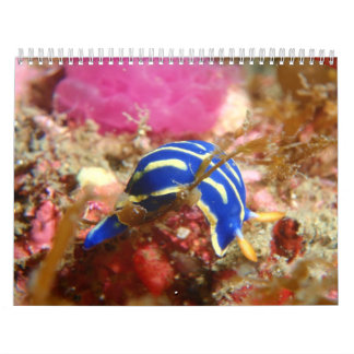 Nudibranch kalender