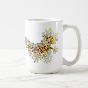 Nudibranch mugg 3