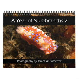 Nudibranch Väggkalender 2 av J. Fatherree Kalender