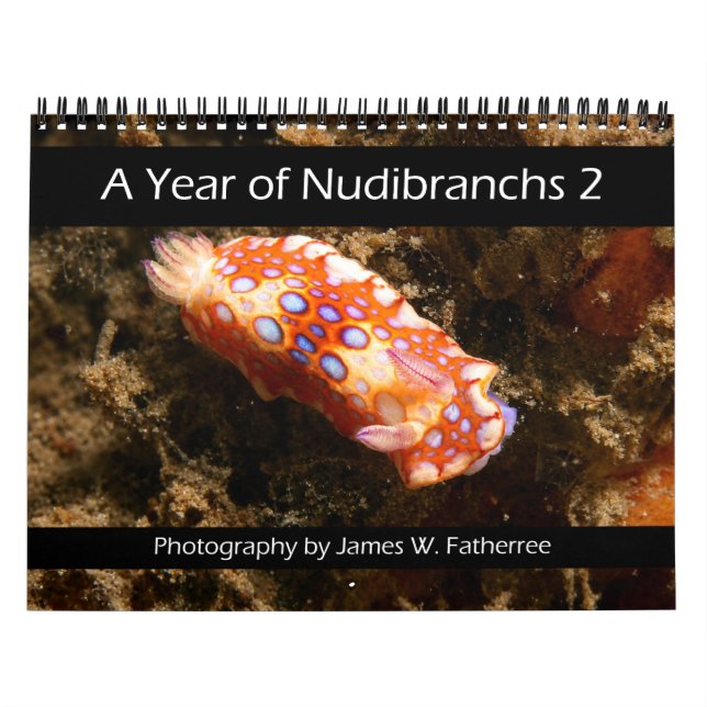 Nudibranch Väggkalender 2 av J. Fatherree Kalender (Omslag)