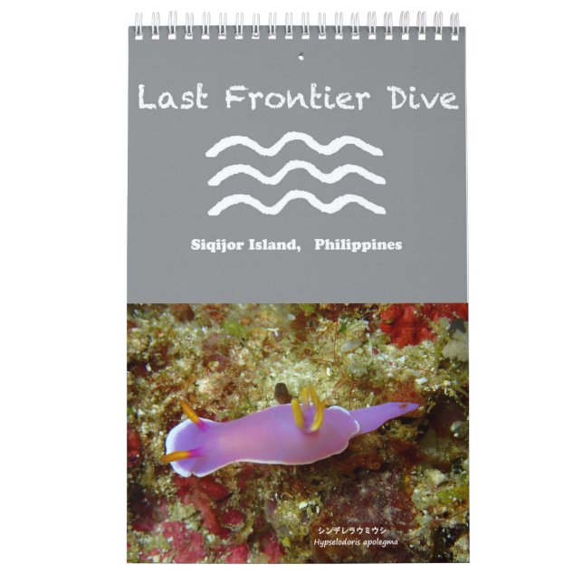 Nudibranchs i Siquijor: Skrivbordskalender Kalender (Omslag)