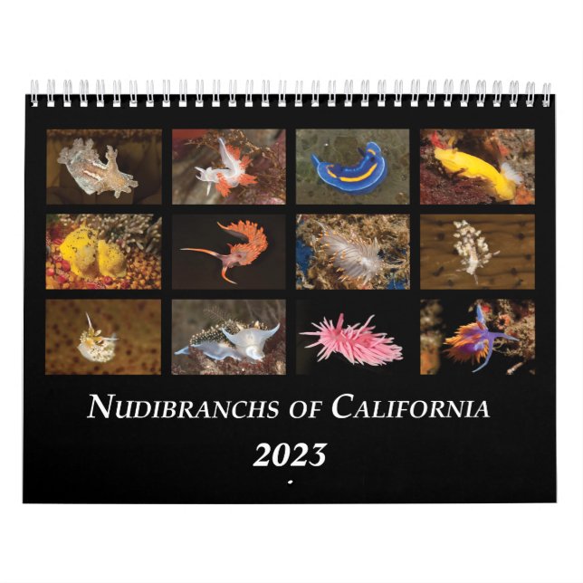 Nudibranchs of California Calendar Kalender (Omslag)