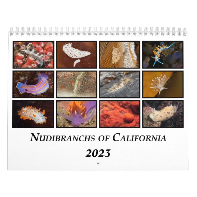 Nudibranchs of California Calendar Kalender (Omslag)