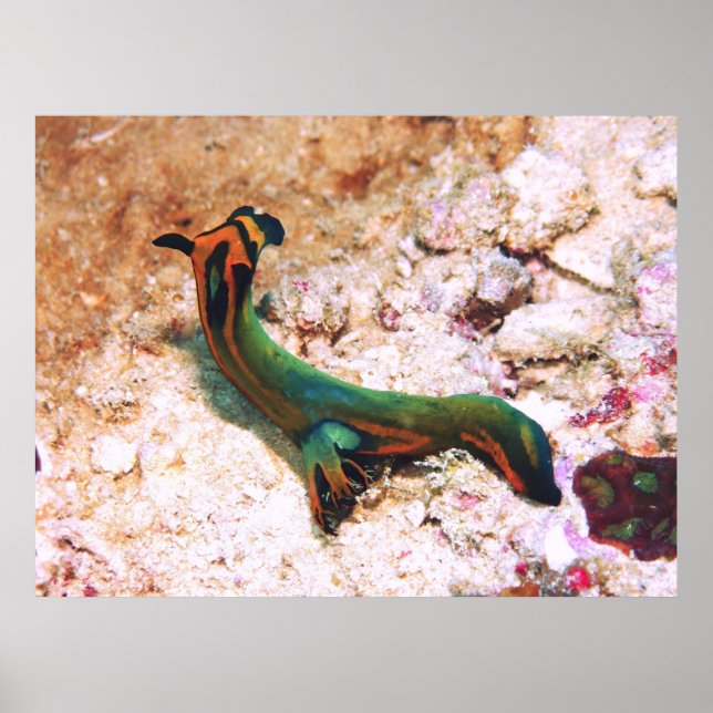Nudigren Poster (Framsidan)