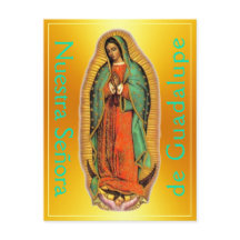 Nuestra Señora de Guadalupe Postcard