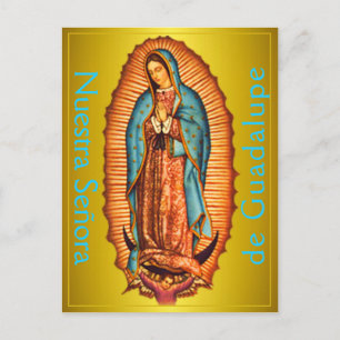 Nuestra Señora de Guadalupe Postcard Vykort