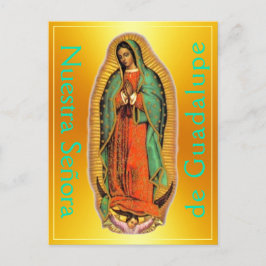 Nuestra Señora de Guadalupe Postcard Vykort