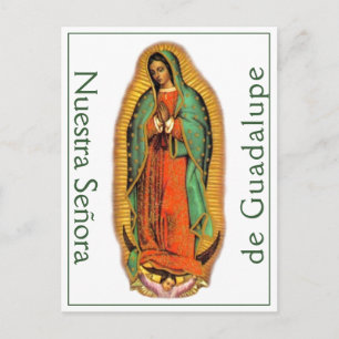 Nuestra Señora de Guadalupe Postcard Vykort
