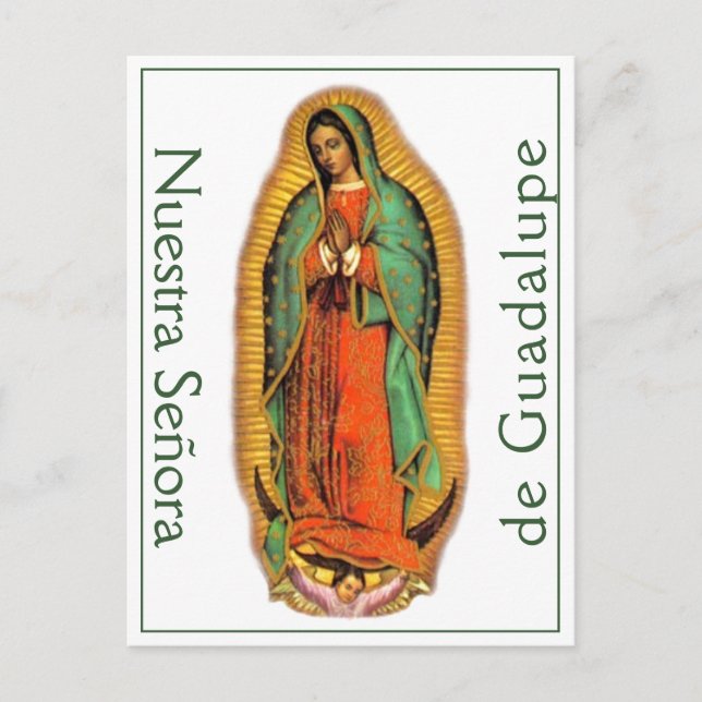 Nuestra Señora de Guadalupe Postcard Vykort (Framsida)