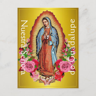 Nuestra Señora de Guadalupe Postcard Vykort