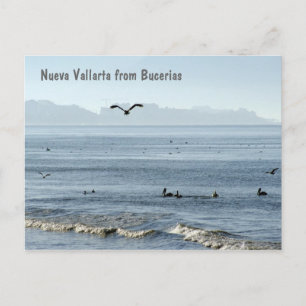 Nueva Vallarta från Bucerias Vykort