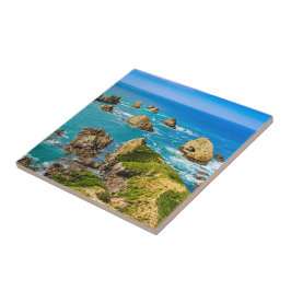 Nugget Point-öarna, Nya Zeeland Kakelplatta