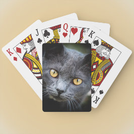 Num-Num - Grannskapskatten Casinokort